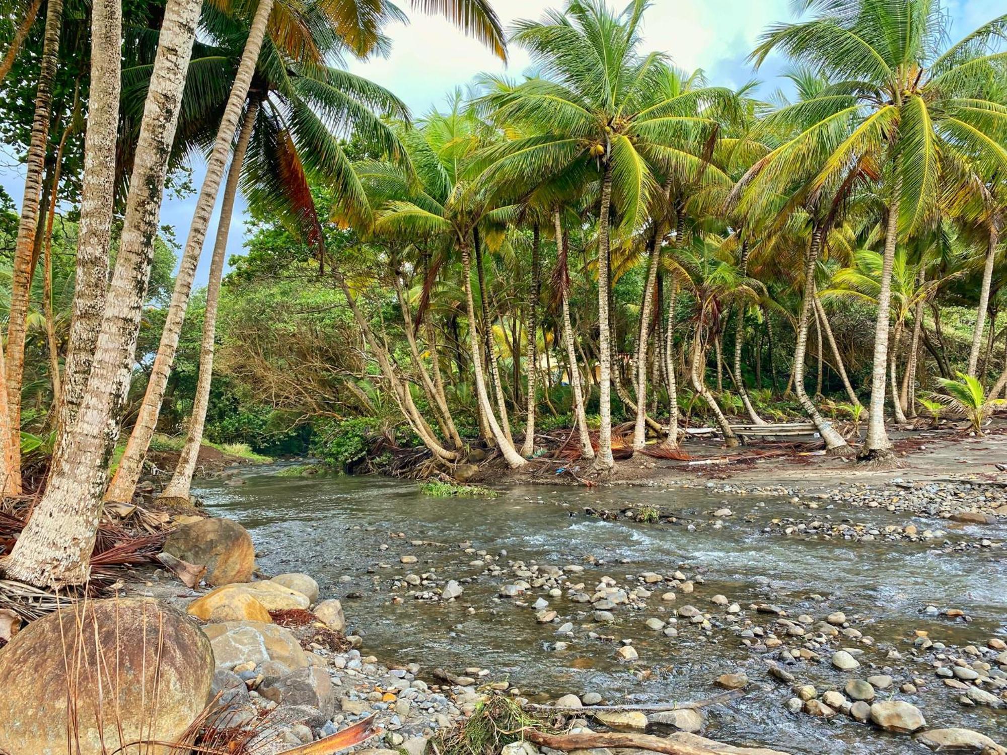 Maison D'O Baie De Saint-Jacques, Sur Une Plage Sauvage Villa แซงต์-มารีย์ ภายนอก รูปภาพ