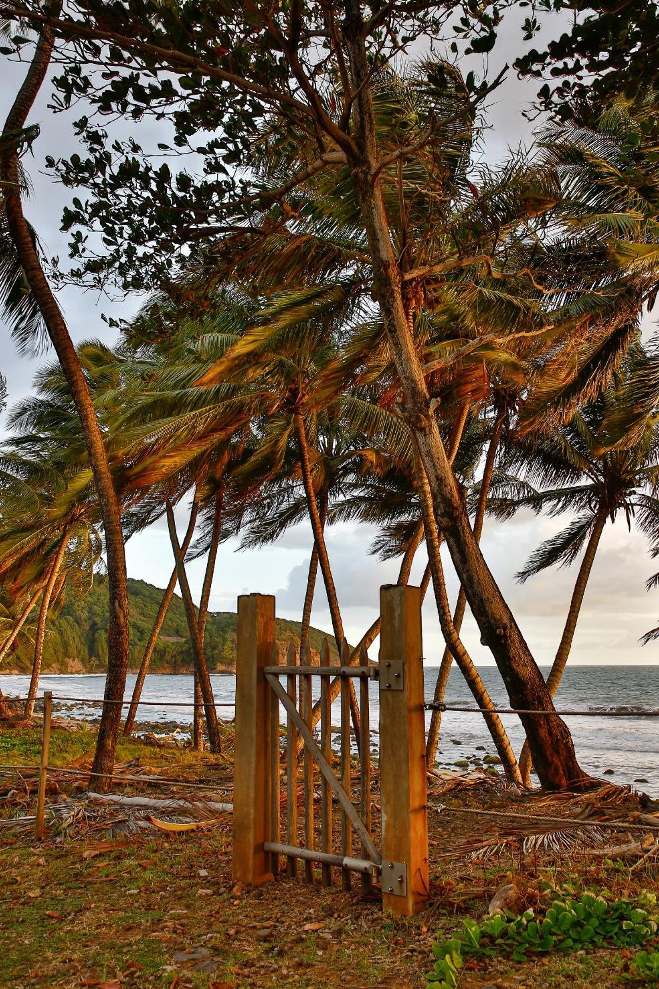 Maison D'O Baie De Saint-Jacques, Sur Une Plage Sauvage แซงต์-มารีย์ ภายนอก รูปภาพ