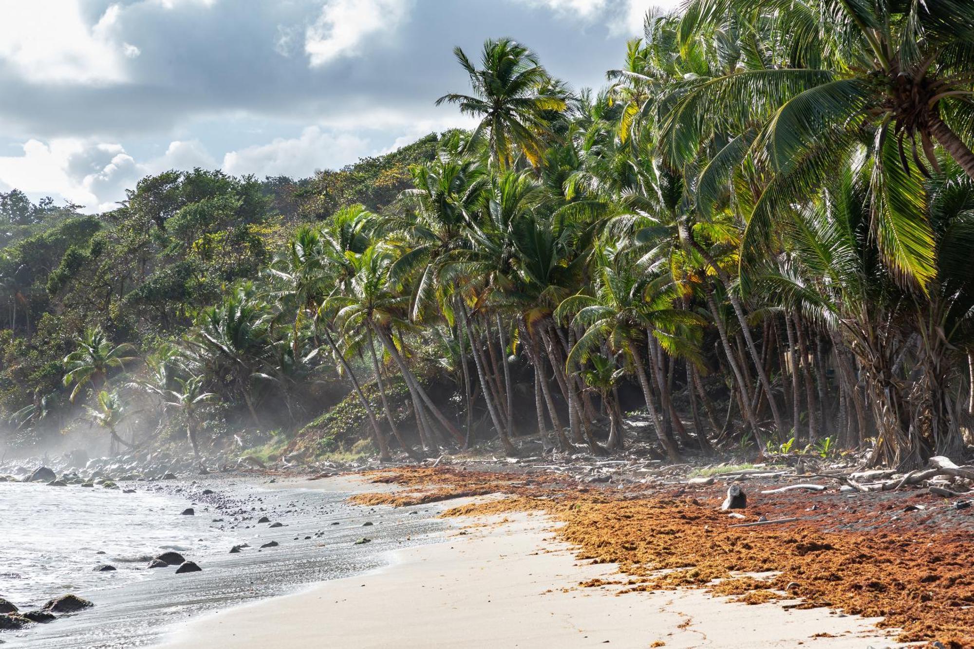 Maison D'O Baie De Saint-Jacques, Sur Une Plage Sauvage แซงต์-มารีย์ ภายนอก รูปภาพ