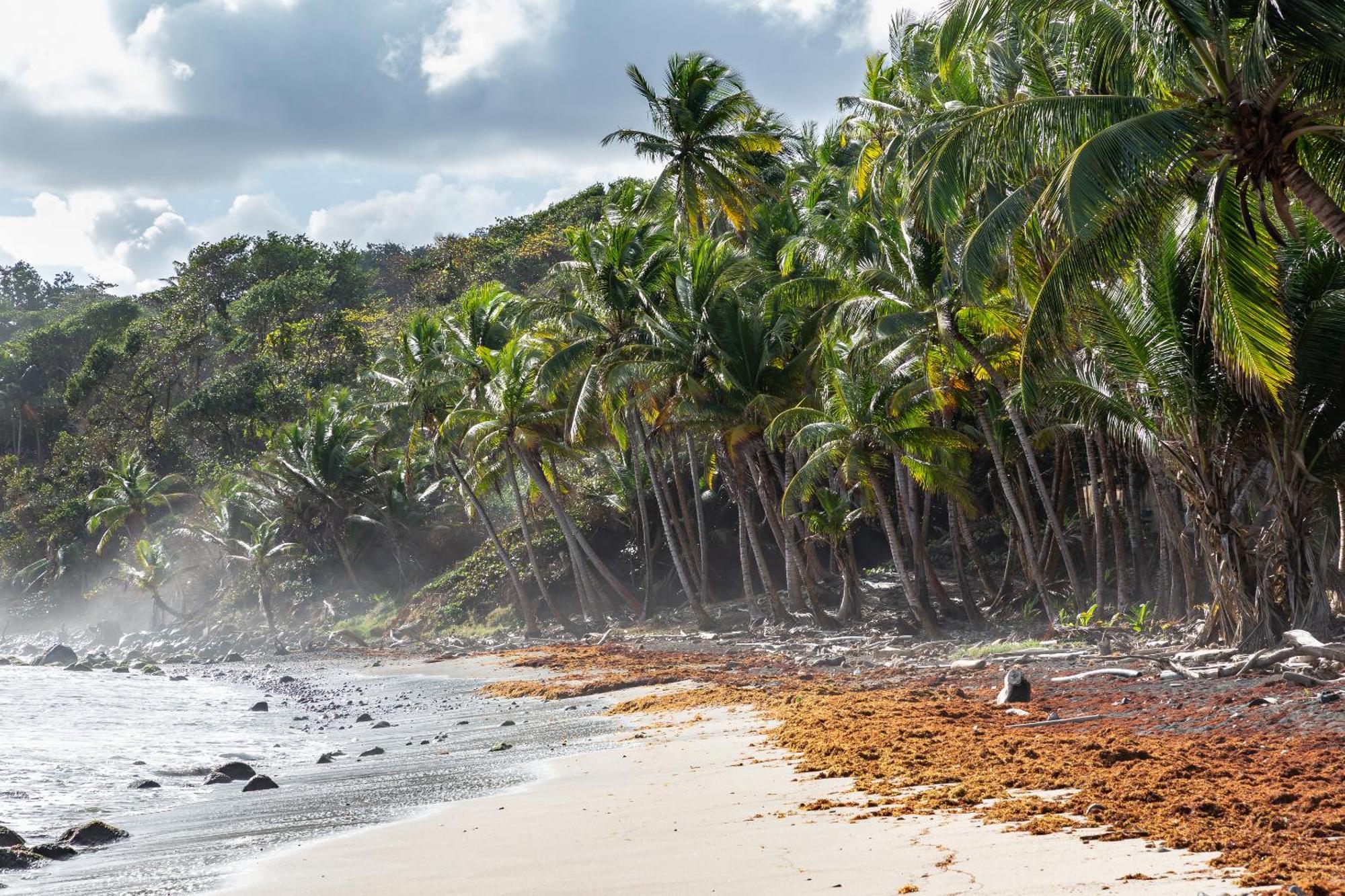 Maison D'O Baie De Saint-Jacques, Sur Une Plage Sauvage Villa แซงต์-มารีย์ ภายนอก รูปภาพ