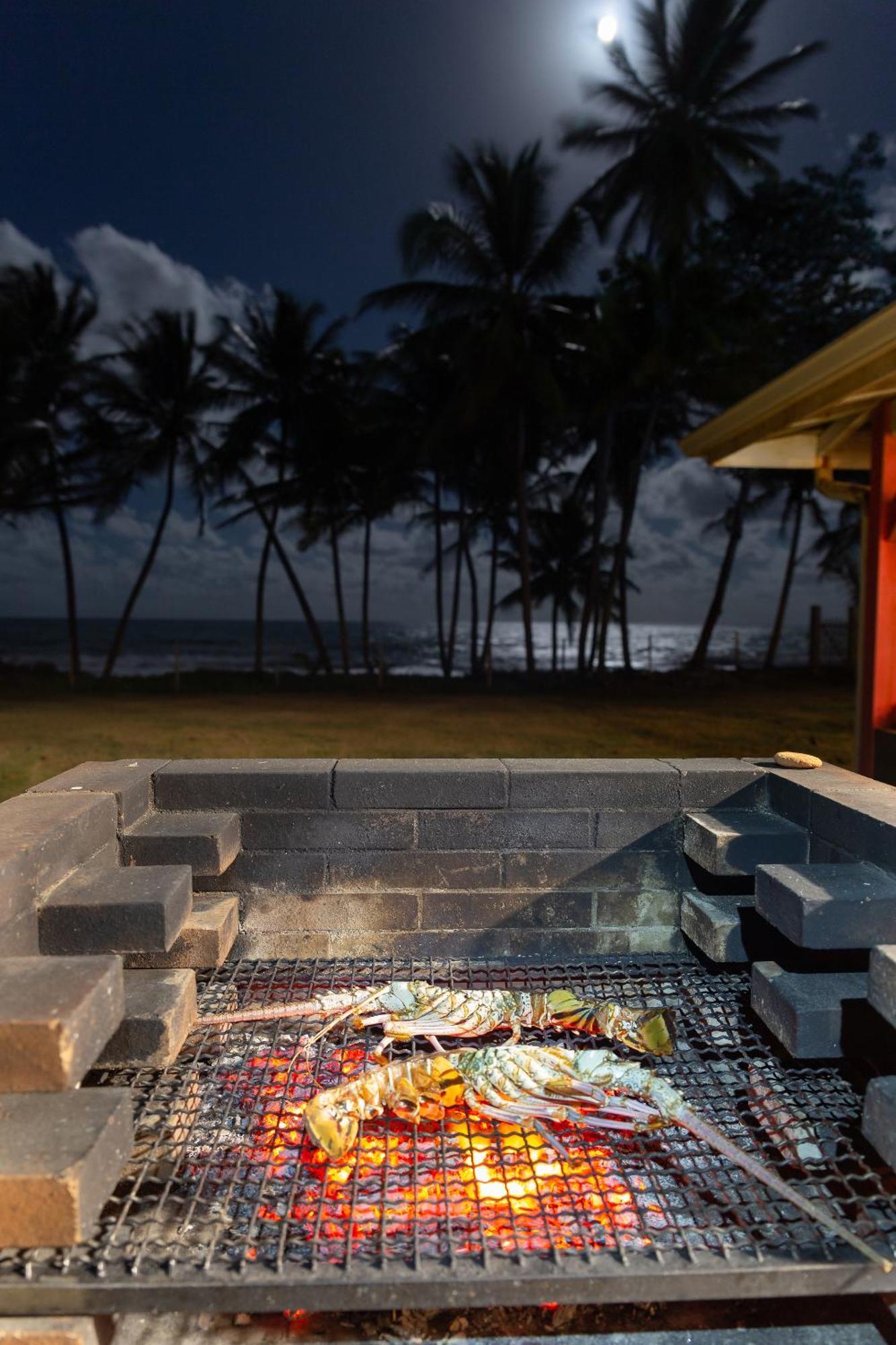 Maison D'O Baie De Saint-Jacques, Sur Une Plage Sauvage แซงต์-มารีย์ ภายนอก รูปภาพ