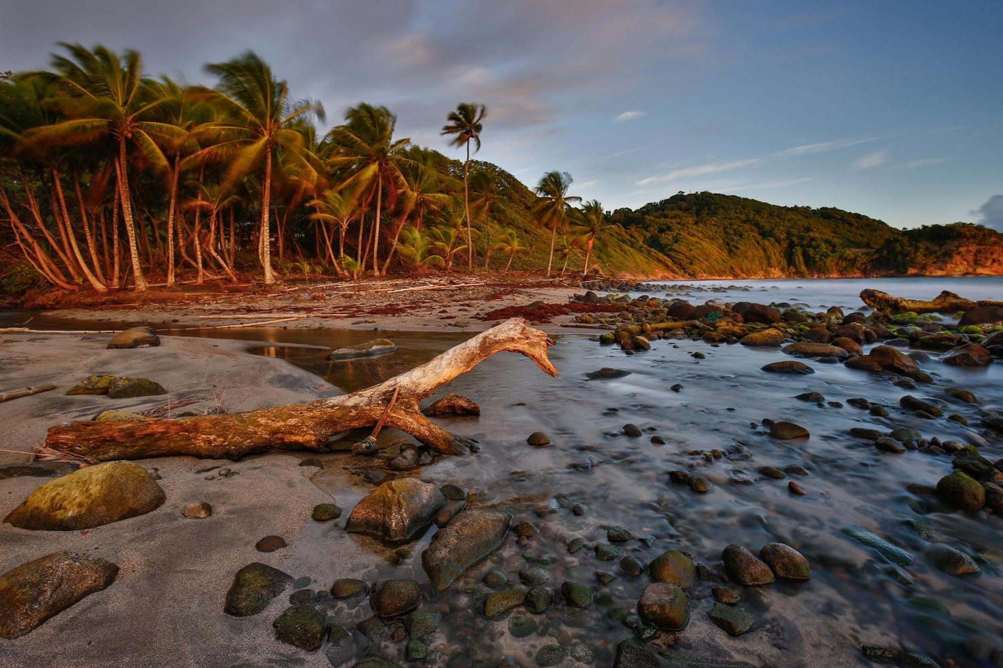 Maison D'O Baie De Saint-Jacques, Sur Une Plage Sauvage แซงต์-มารีย์ ภายนอก รูปภาพ